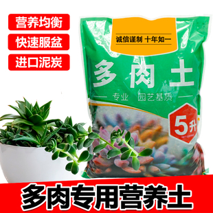 多肉专用颗粒土多肉植物营养土铺面石叶插纯颗粒种植土壤发酵疏松