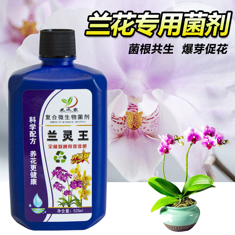 兰灵王兰花专用营养液肥料兰陵王君子兰蝴蝶兰石斛兰科促花活化剂,鲜花速递/花卉仿真/绿植园艺,家庭园艺肥料,淘宝优惠券,粉丝福利购,淘宝优惠卷