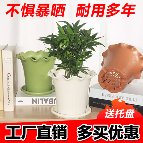 树脂简约加厚耐用兰花月季花盆