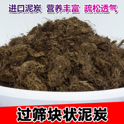 种植土拉脱维亚泥炭土进口过筛土