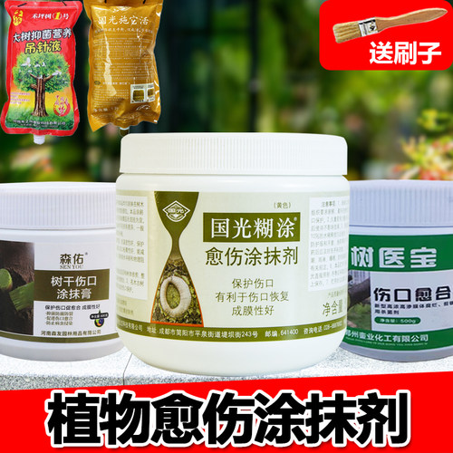 国光糊涂植物伤口愈合剂大树