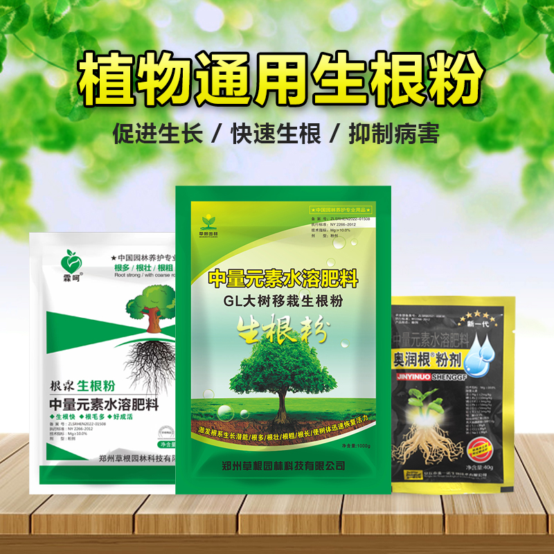 生根粉大树移植强力生根扦插