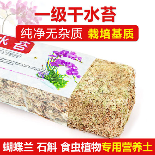 蝴蝶兰专用一级干苔藓爬宠垫材