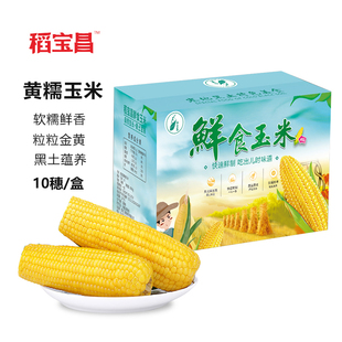 稻宝昌鲜食玉米新鲜糯玉米10支2600g黏真空甜粘东北粗粮