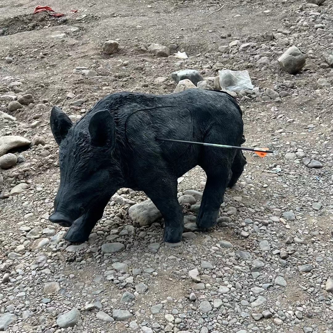 【小Z射箭】动物靶 野猪靶 兔子靶 箭靶 非X10靶 凯夫拉拉靶