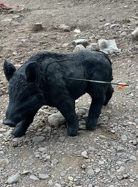 【小Z射箭】动物靶 野猪靶 兔子靶 箭靶 非X10靶 凯夫拉拉靶