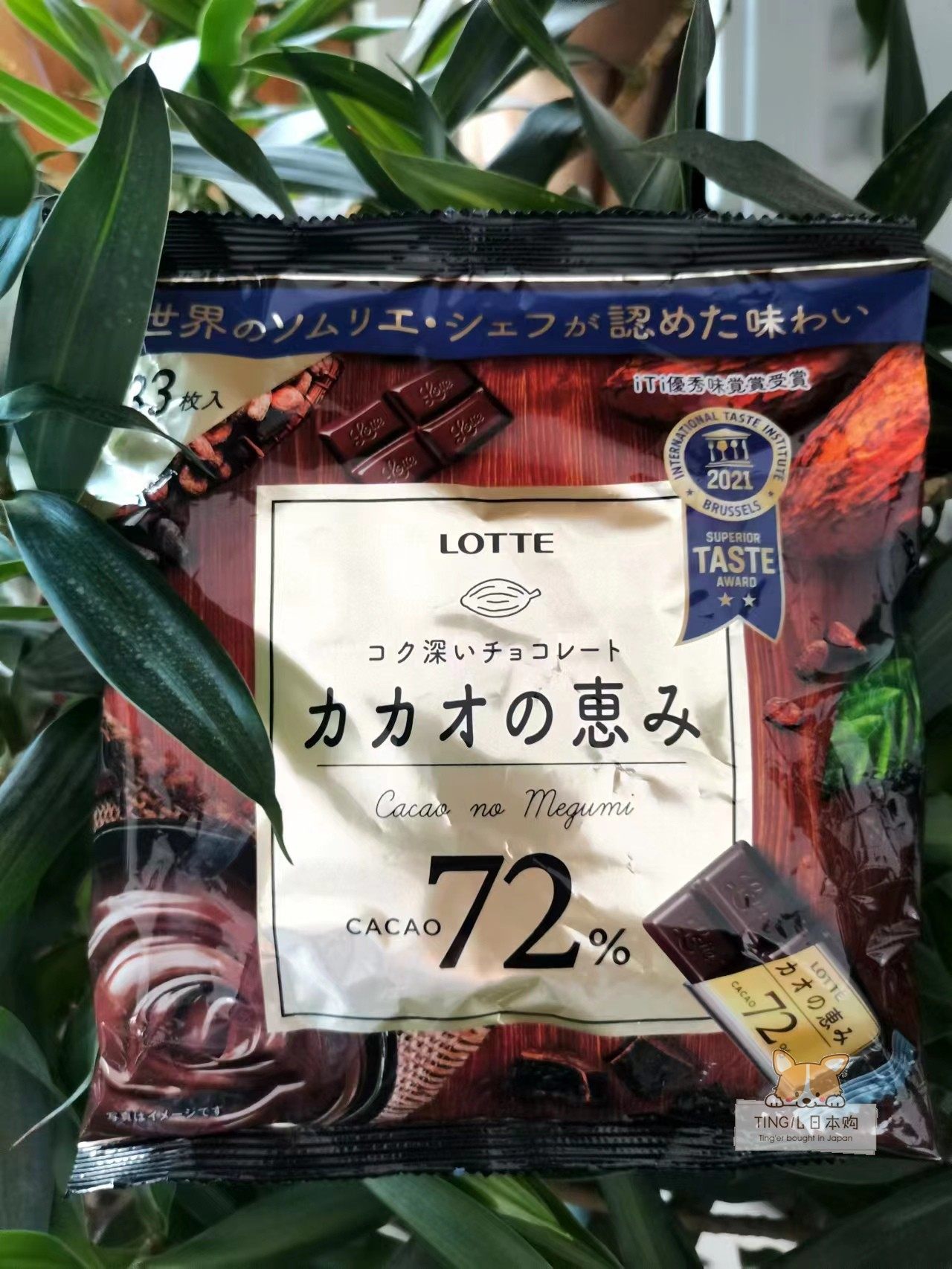 予定 日本lotte乐天浓郁可可零食72% 浓度巧克力块 iti优秀受赏