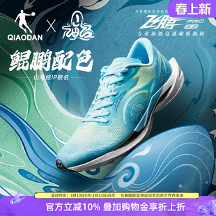 乔丹飞腾2.0PRO山海经联名|竞速碳板体育运动风中考跑步鞋运动鞋