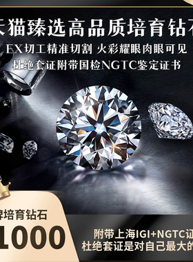 【培育】CVD人造钻石1克拉HPHT合成培育钻戒婚戒定制IGI证书NGTC