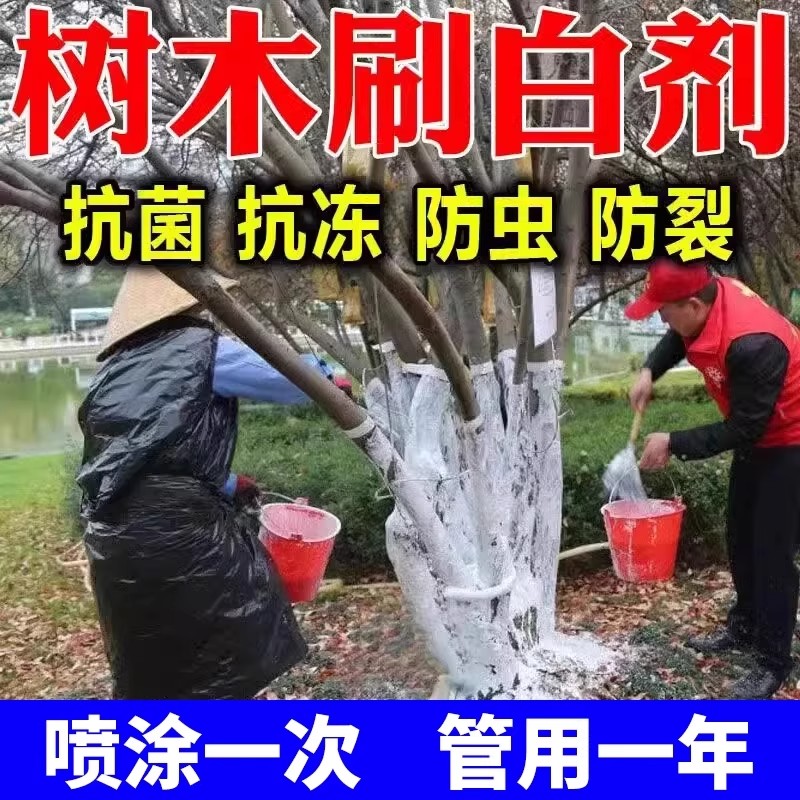 大树树干涂白剂防虫防冻