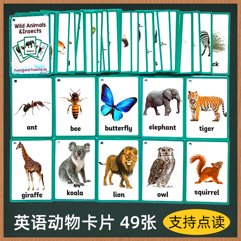 英语野生动物单词卡片英文闪卡宝宝早教启蒙幼儿园英文教师教具闪_虎窝淘