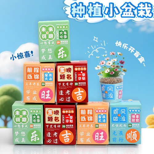 中高考金榜题名植物盲盒礼物