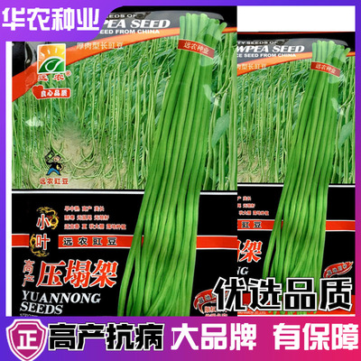 高产春夏秋播耐寒蔬菜四季豆角种子籽老品种压塌架特长绿豇豆种孑