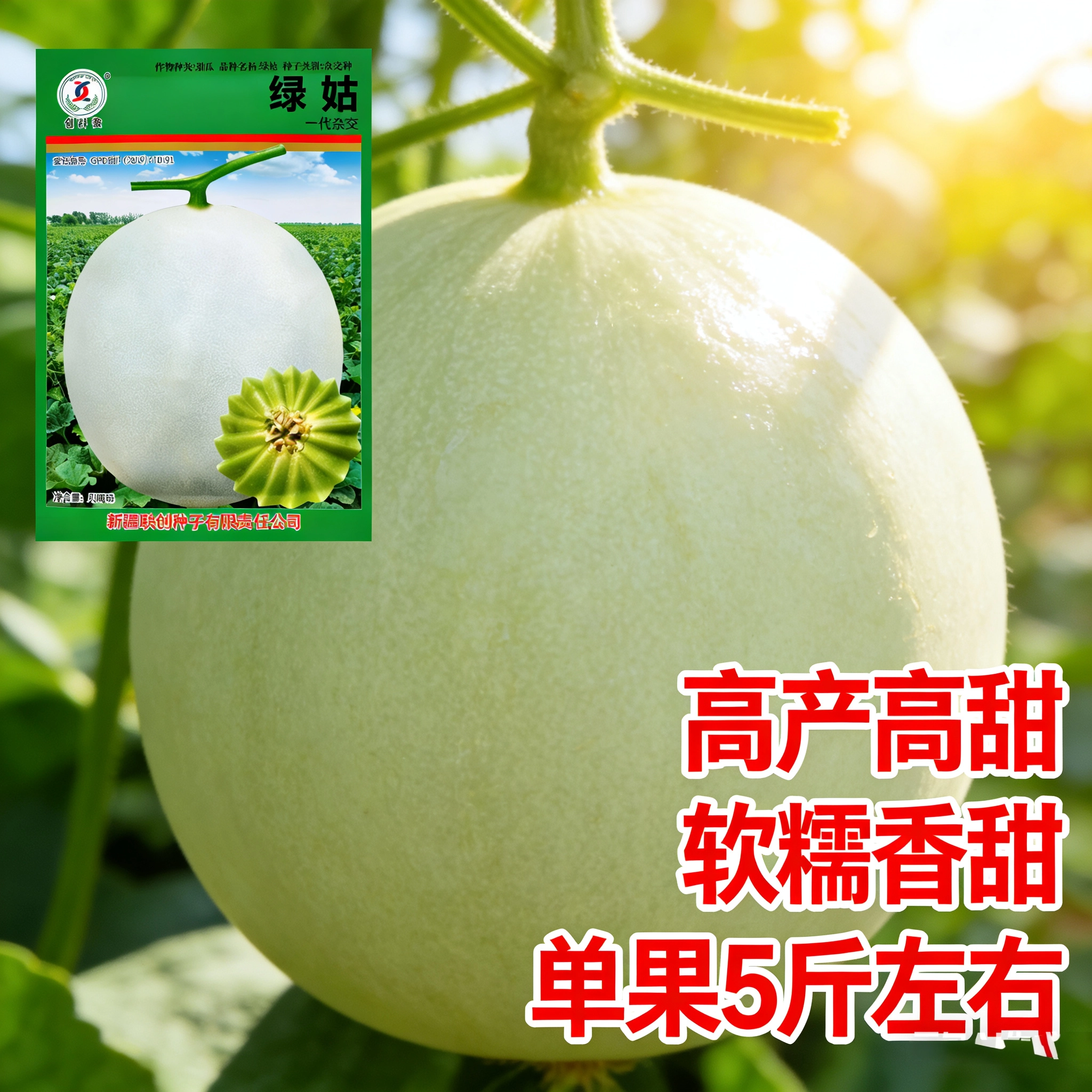 创科蜜绿姑甜瓜种子高产高甜软糯单果5斤左右蔬菜种子家庭园艺
