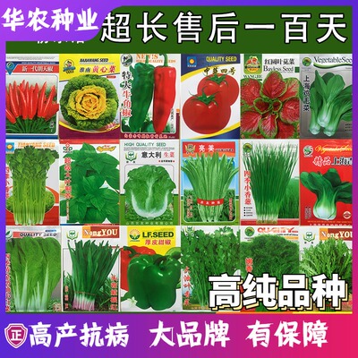 蔬菜阳台盆栽庭院春季种孑