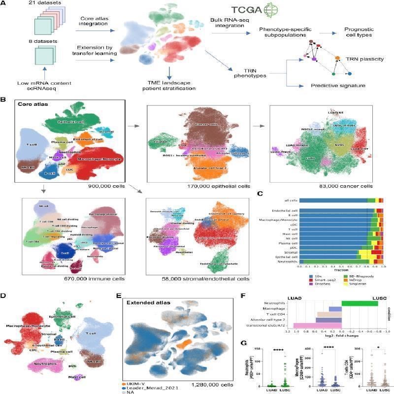 生信分析2-8分转录组数据分析服务TCGA GEO数据库挖掘生信