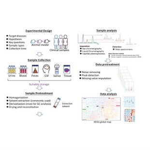 LCMS检测 液相色谱质谱分析检测 代谢组学 脂质组学 蛋白组学