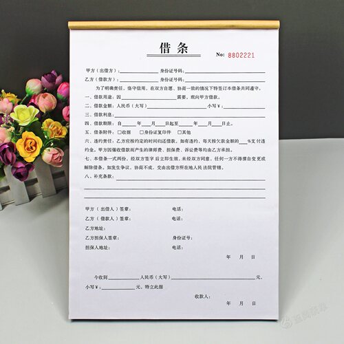 个人借钱借条定制二联A4正规民间借贷合同协议私人借款条借款欠条 - 封面