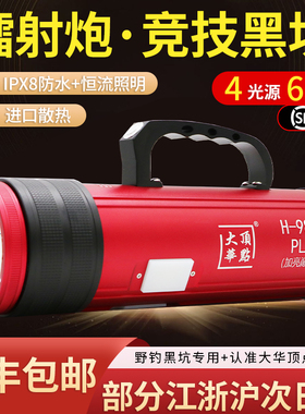 北京大华顶点H980splus巅峰版激光镭射炮夜钓灯野钓黑坑钓鱼灯