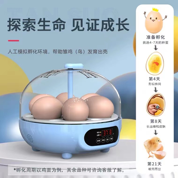 科教款威振孵化器孵蛋器全自动
