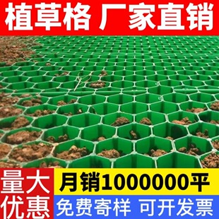 护坡塑料植草格停车位草坪砖小区消防通道绿化格栅护坡草格批发