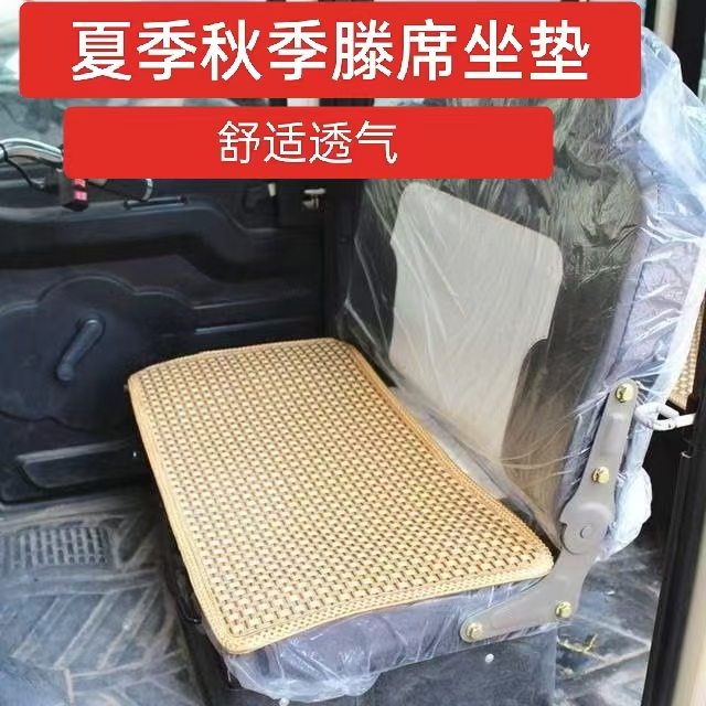 夏天电动三轮车凉席坐垫封闭式电车夏季防晒凉垫电动通用加厚透气