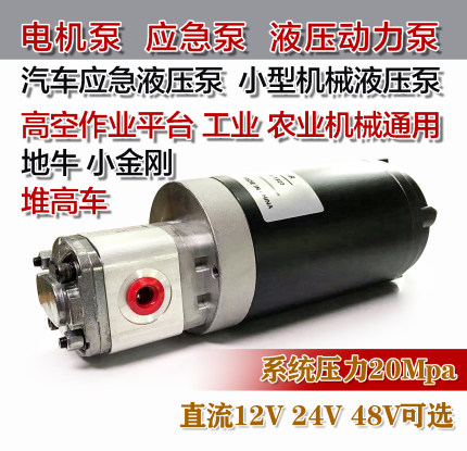 12V24V48v 液压电机泵 托盘车 汽车转向泵 应急泵 高空车泵站