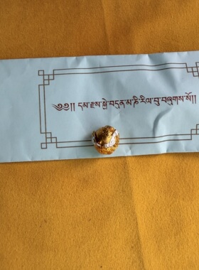 莲师伏藏宝贝/吠陀七仙人ma尼/Amṛta/莲师装藏宝贝/特殊传承结缘