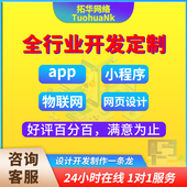 编写app制作 软件开发定制小程序开发定制JAVAPHP编程网页设计代码