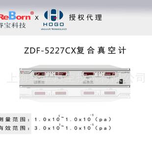 睿ZDF-5227CX/DX复合真空计电离电阻精度数字真空计
