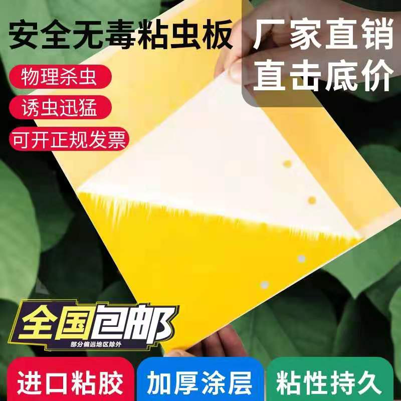 双面粘虫板黄色果蝇针蜂蓟马大棚