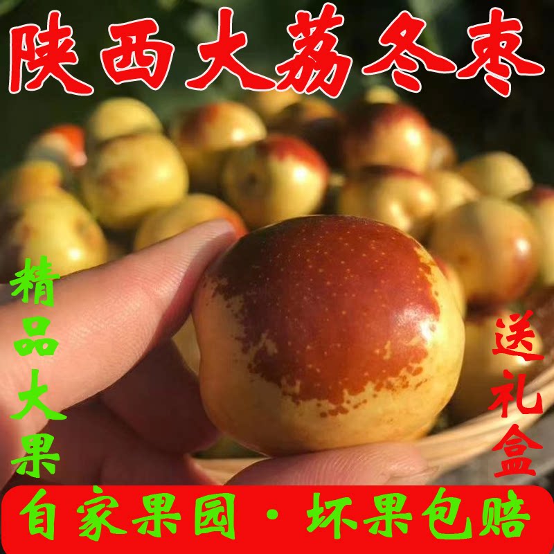 现摘陕西正宗大荔冬枣脆甜红枣枣子当季水果5斤整箱大枣青枣精选