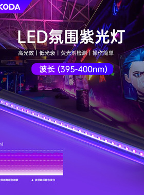 led紫光灯T5灯管舞台派对KTV氛围灯5V低压USB接口固化胶水荧光灯