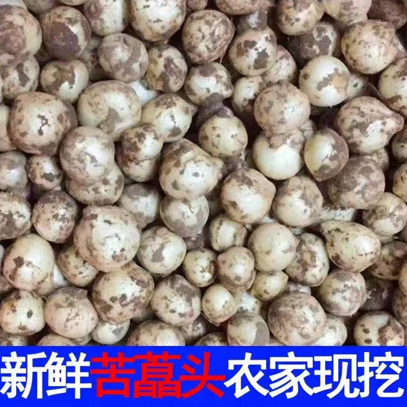 新鲜苦藠团葱小根蒜苦叫野葱洋蒜