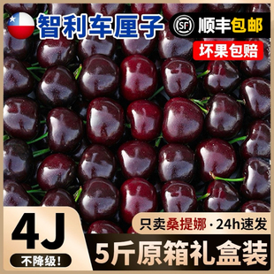 智利车厘子5斤礼盒新鲜水果包邮当季整箱桑提娜4j孕妇进口3大樱桃