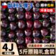 当季 智利车厘子5斤礼盒新鲜水果 包邮 整箱桑提娜4j孕妇进口3大樱桃