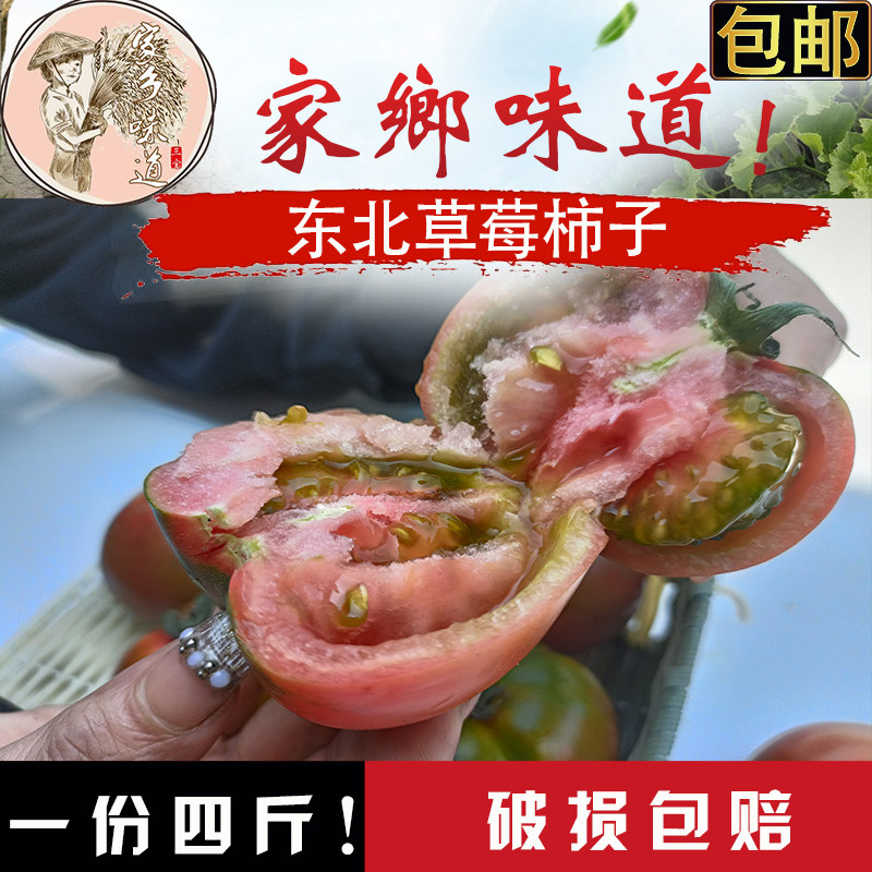东北草莓西红柿铁皮柿子沙瓤番茄番茄