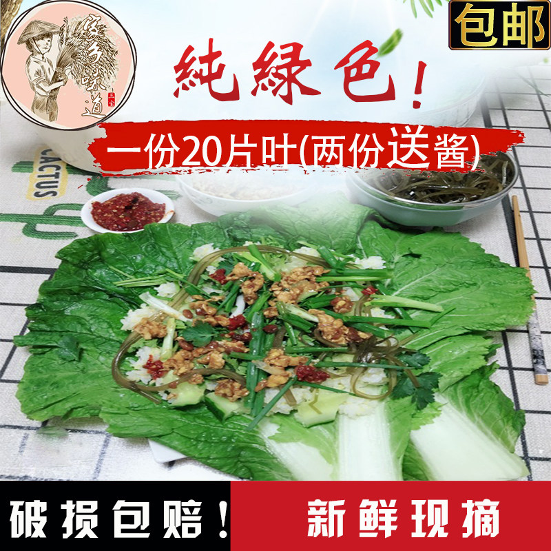 东北新鲜白菜叶子包饭包叶大白菜其它