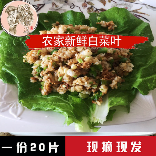 东北白菜新鲜农家片装