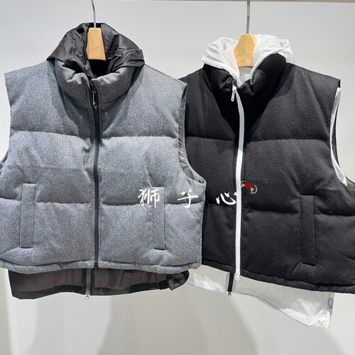 狮子心JN/江南国内专柜正品26冬款羽绒服马甲 5Q0C22960-2595