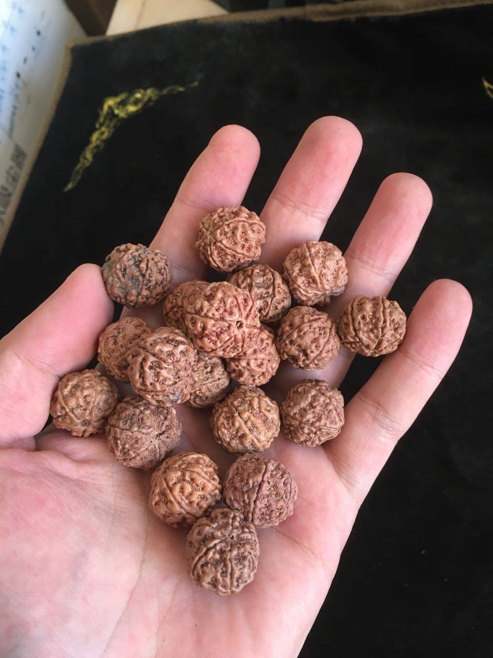 尼泊尔金刚菩提五瓣六瓣散籽爆肉双龙蜂窝满肉原籽手串手链