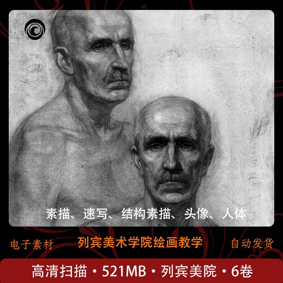 俄罗斯列宾美术学院素描系列 集训美术 速写 美院风 苏式素描