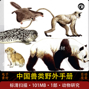 中国兽类野外手册手绘图鉴美术图片素材电子版学习收藏动物研究