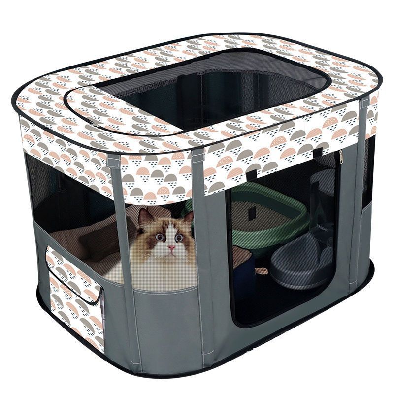 猫咪产房狗狗生育怀孕待