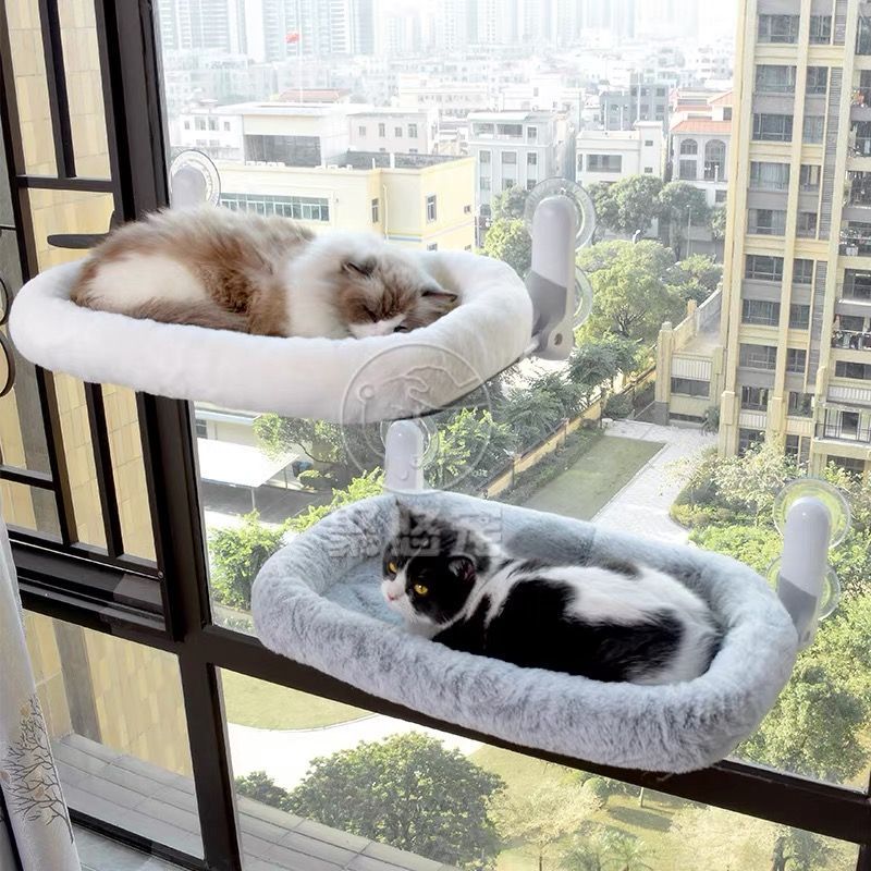 猫吊床猫咪窗户晒太阳阳