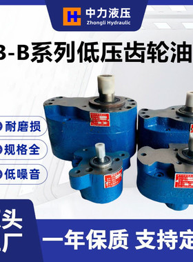 CB-B6/B10/B4/B16/B100/B25/B32/B40/B50/B63/B80/B125F齿轮油泵R