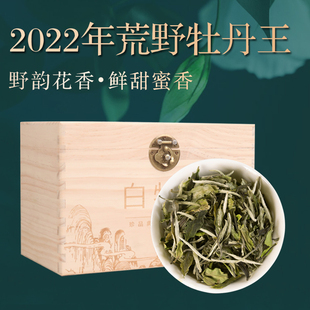 2022荒野白牡丹王磻溪湖林明前福鼎白茶一芽半叶特级茶叶气韵特好