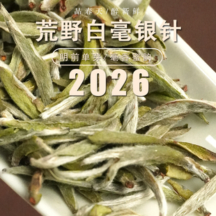 2026荒野白毫银针磻溪湖林福鼎白茶太姥银针无人打理自然生长茶树