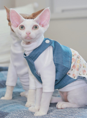 Pico 德文猫衣服四季牛仔裙无毛猫斯芬克斯衣服小碎花田园背带裙