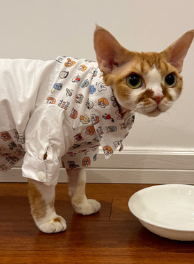 Pico 德文猫衣服卡通拼色衬衫无毛猫斯芬克斯衣服可爱白色人人头